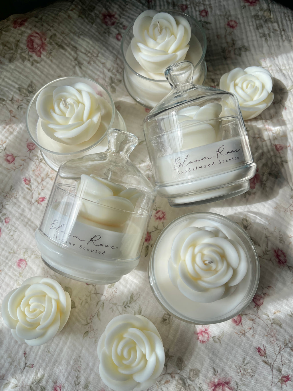 White Bloom Rose