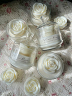 White Bloom Rose