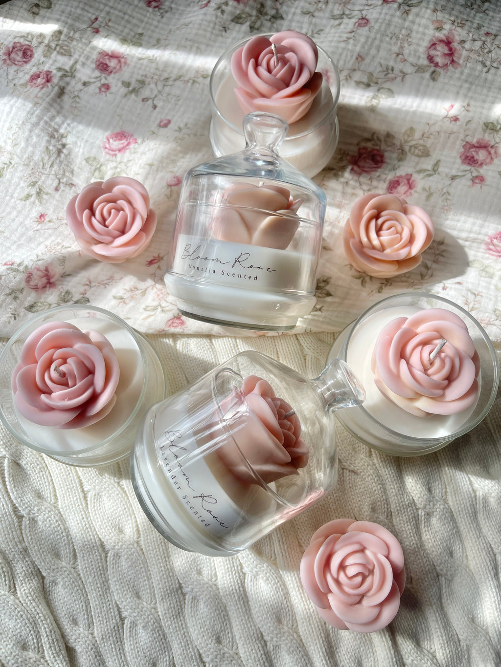 Peach Bloom Rose
