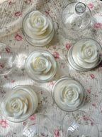 White Bloom Rose
