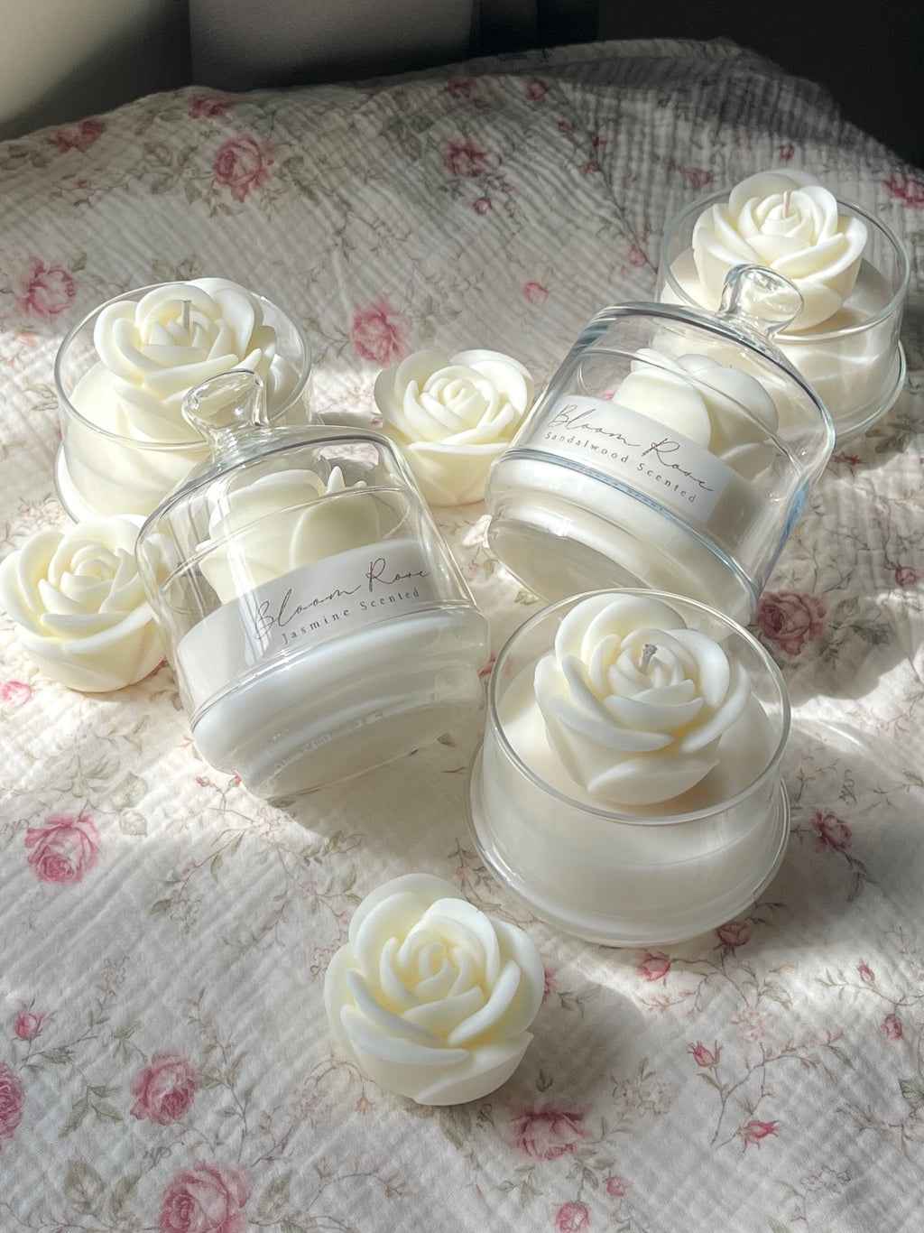 White Bloom Rose
