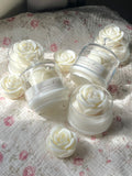 White Bloom Rose