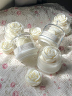 White Bloom Rose