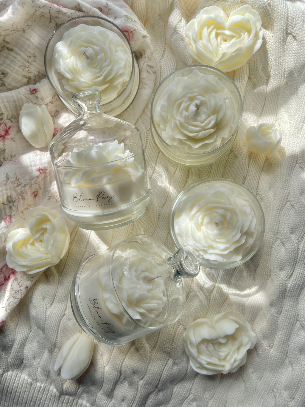 White Bloom Peony