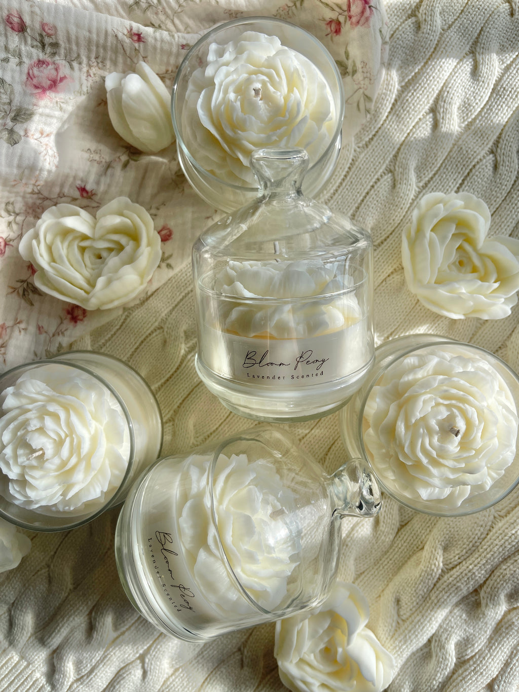White Bloom Peony