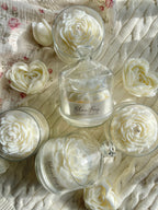 White Bloom Peony