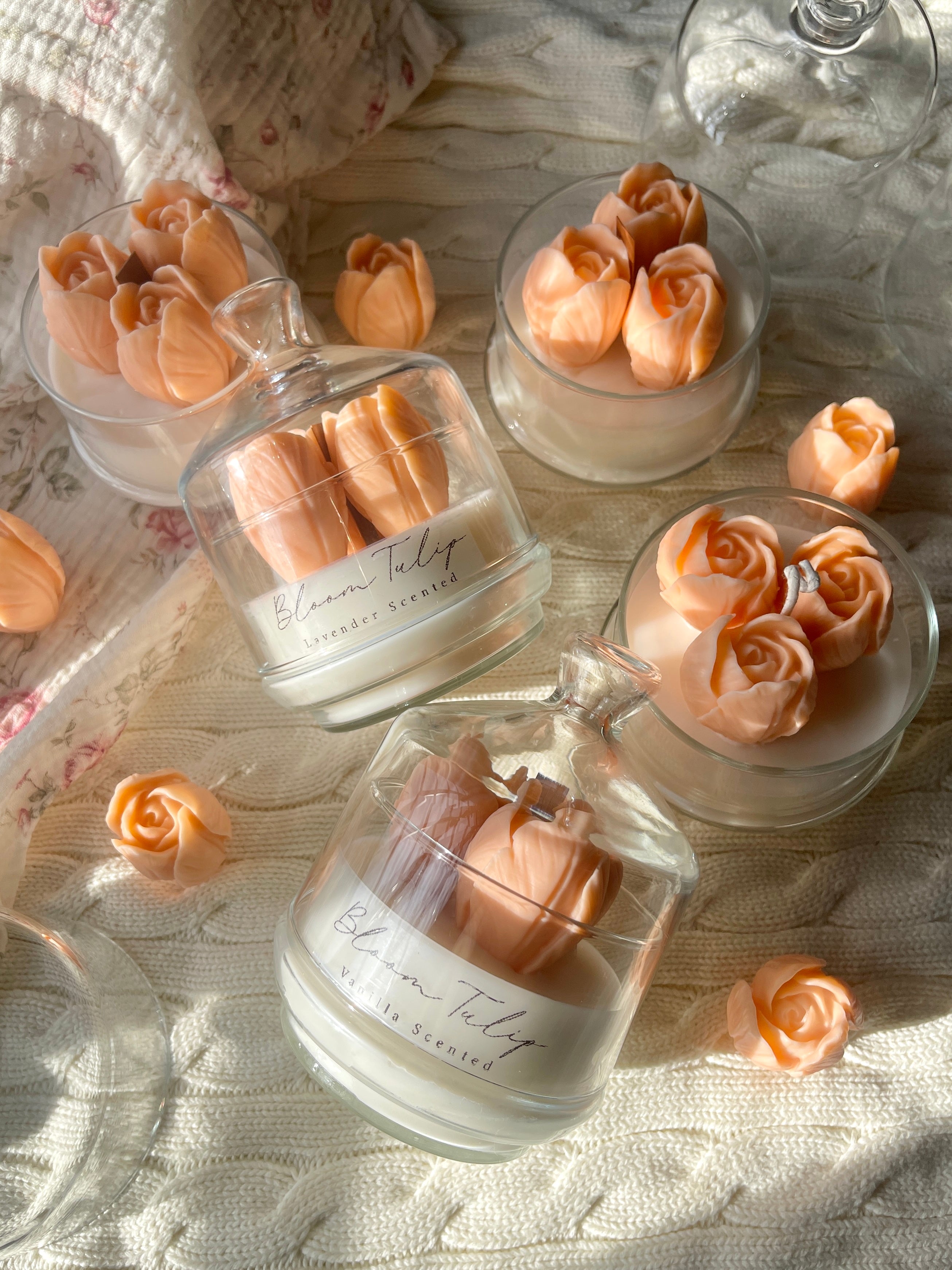 Pastel Orange Bloom Tulip