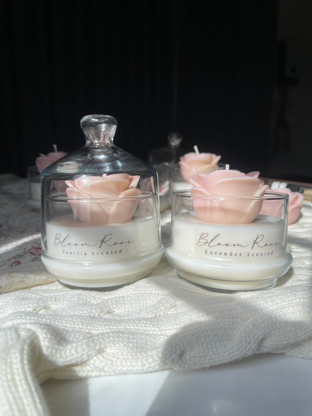 Peach Bloom Rose