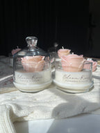 Peach Bloom Rose