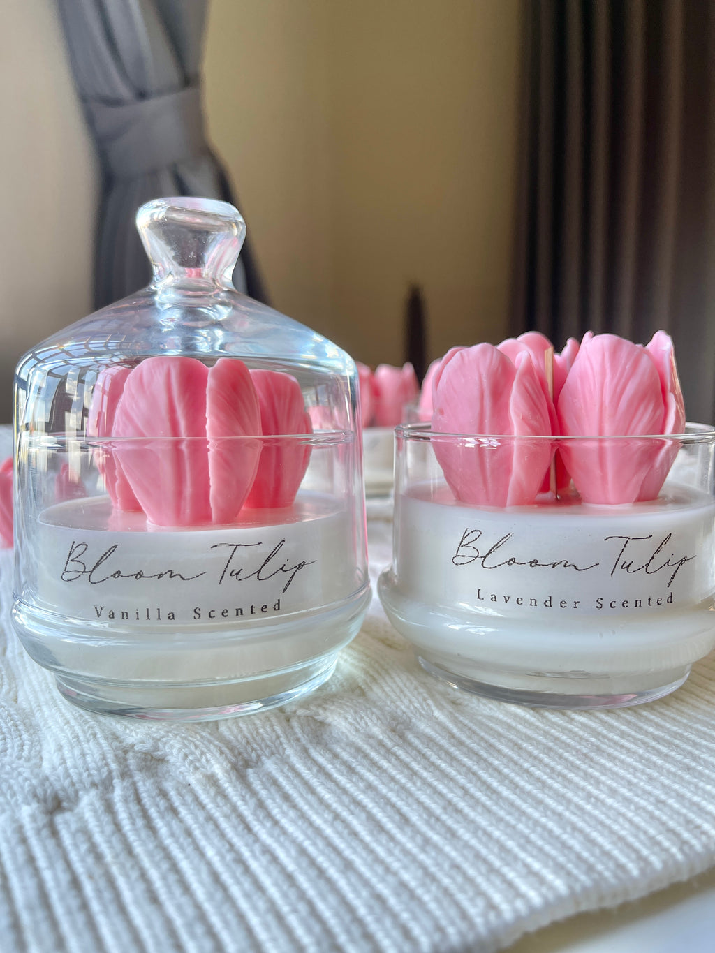 Pink Bloom Tulip