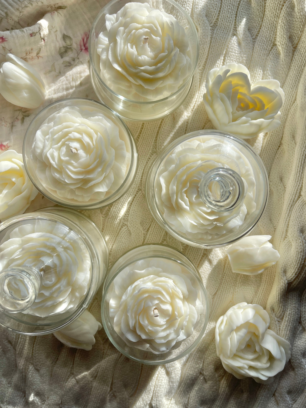 White Bloom Peony