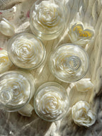 White Bloom Peony