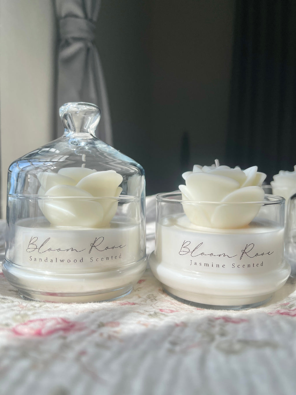 White Bloom Rose