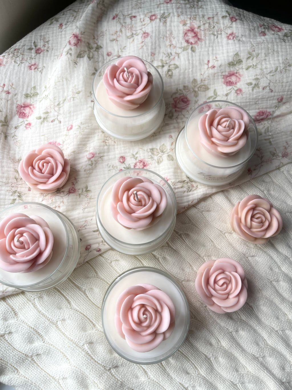 Peach Bloom Rose