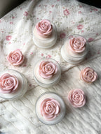 Peach Bloom Rose