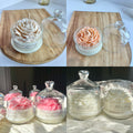 Bloom peony - 4 colors design